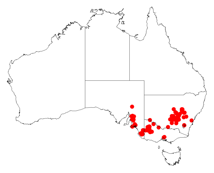 File:Acacia trineuraDistMap909.png