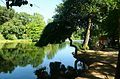 A view of the larger pond.