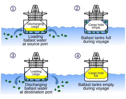 File:Ballast water en.svg