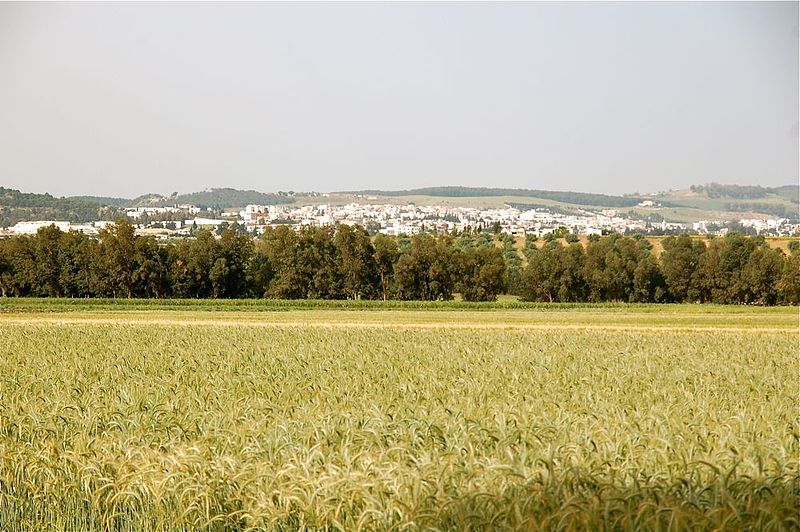 File:Beja agriculture.jpg