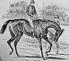 British racehorse Busybody, parading before the Epsom Oaks, from Illustrated London News, May 1884.