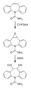 File:Carbamazepine metabolism.svg