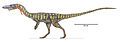 Coelophysis