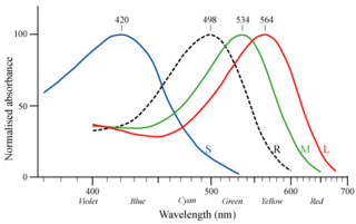 response curves