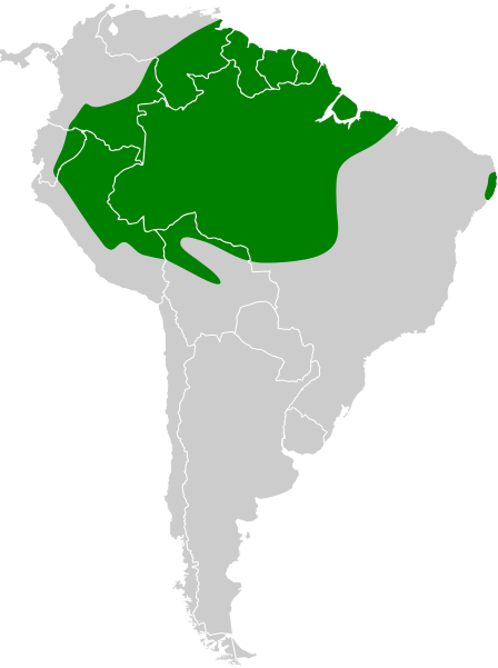 File:Dendrocolaptes certhia map.svg