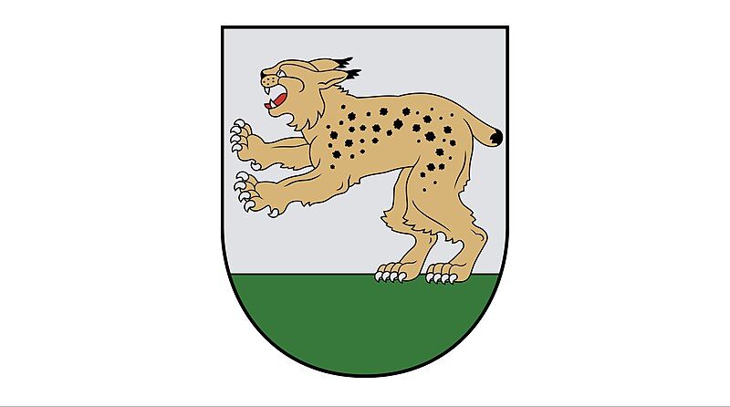 File:Flag of Raseinių.jpg