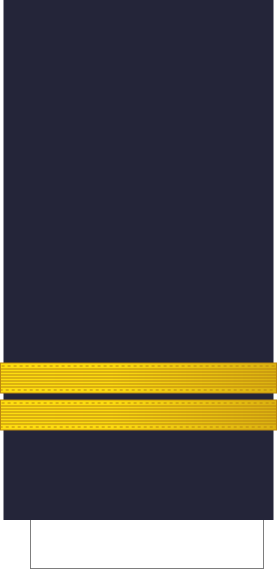 File:France-Airforce-OF-1b Sleeve.svg