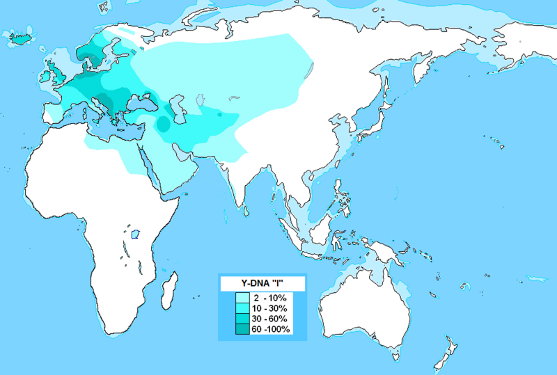 File:Haplogrupo I (Y-DNA).png