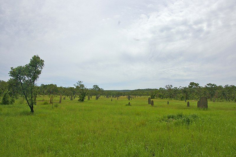 File:Magnetic Termite Mounds.jpg