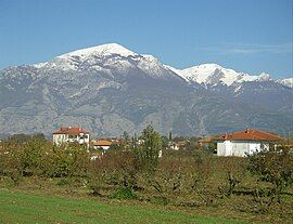 Milea landscape with Kozhuh mountain in the background