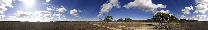 File:Panorama Bussumerheide.jpg