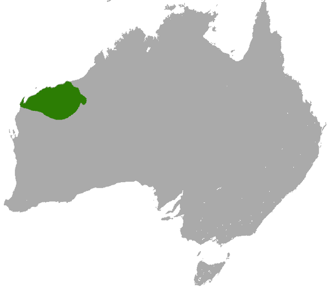 File:Pilbara Ningaui area.png