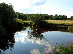 The Pizhug River in Varnavinsky District