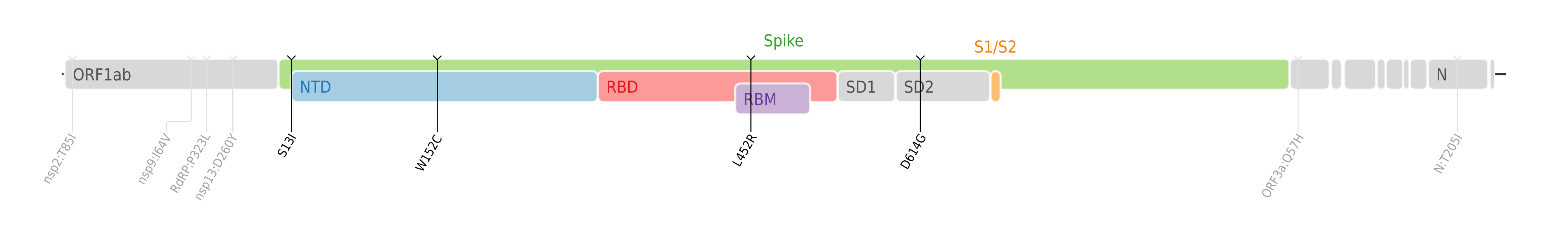 Amino acid mutations of SARS-CoV-2 Epsilon variant plotted on a genome map of SARS-CoV-2 with a focus on the spike.[7]