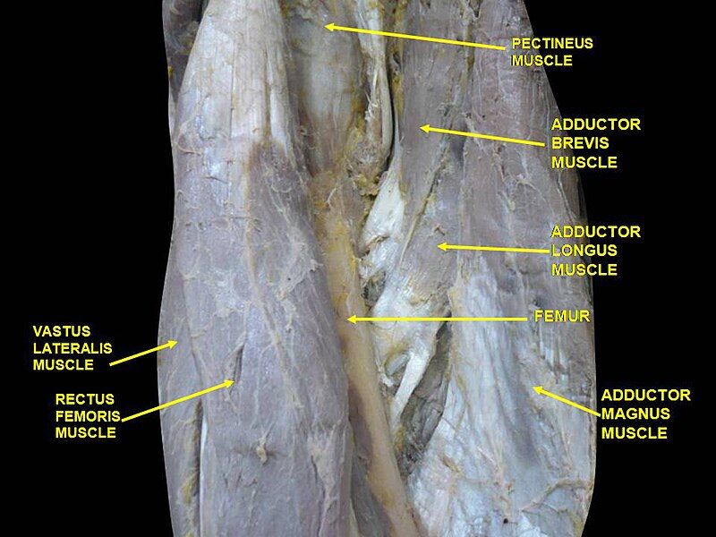 File:Slide1BOUA.JPG