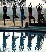 A group of women demonstrating Vrksasana, the tree position.