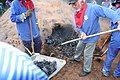 Opening of the charcoal pile