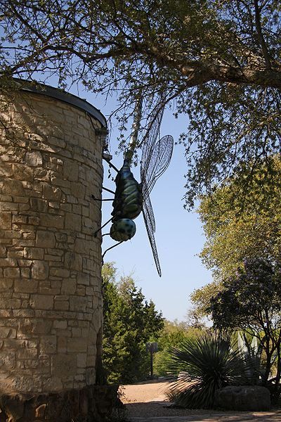 File:WildflowerCtr dragonfly onTower.jpg