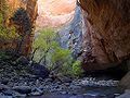 Image 5 Virgin River Narrows Photo credit: Jon Sullivan, pdphoto.org The Virgin River Narrows in Zion National Park, located near Springdale, Utah, is a 16-mile long slot canyon along the Virgin River. Recently rated as number five out of National Geographic's Top 100 American Adventures, it is one of the most rewarding hikes in the world. More selected pictures