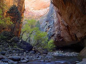 Zion Narrows