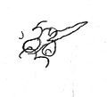 Signature of George VIII of Georgia