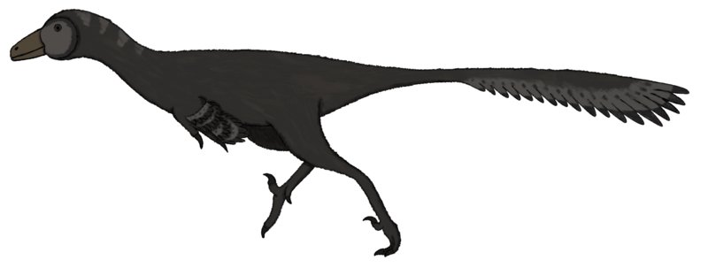 File:1856 - Troodon.png