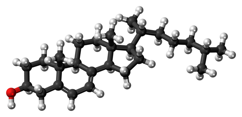 File:7-Dehydrocholesterol molecule ball.png