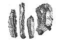 Image 3Flint knives discovered in Belgian caves (from History of Belgium)