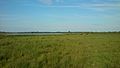 The grazed wet meadows are extensive.