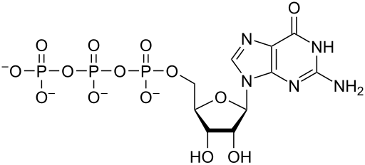 File:GTP chemical structure.svg