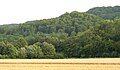 The Hallermundskopf with the ruins of Hallermund Castle