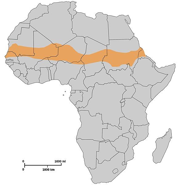 File:Map sahel.jpg