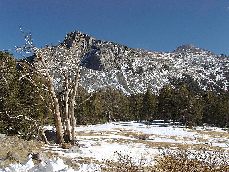 File:Mount-Dana-from-Tioga-Pass.jpg