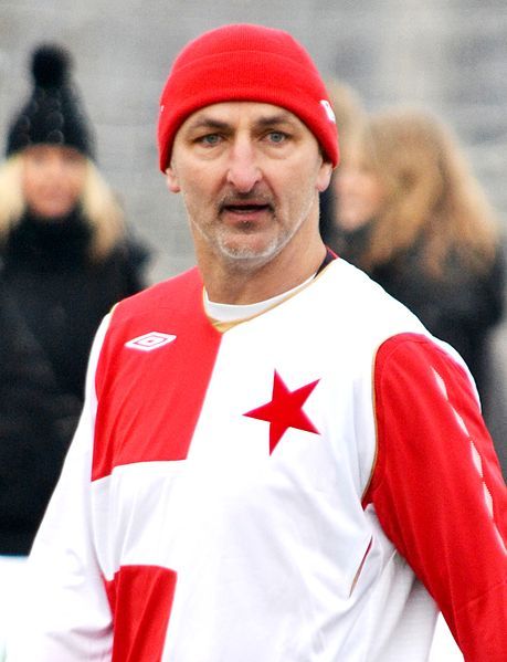 File:Pavel Medynský 2013.JPG