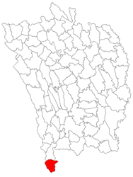 Location in Vaslui County