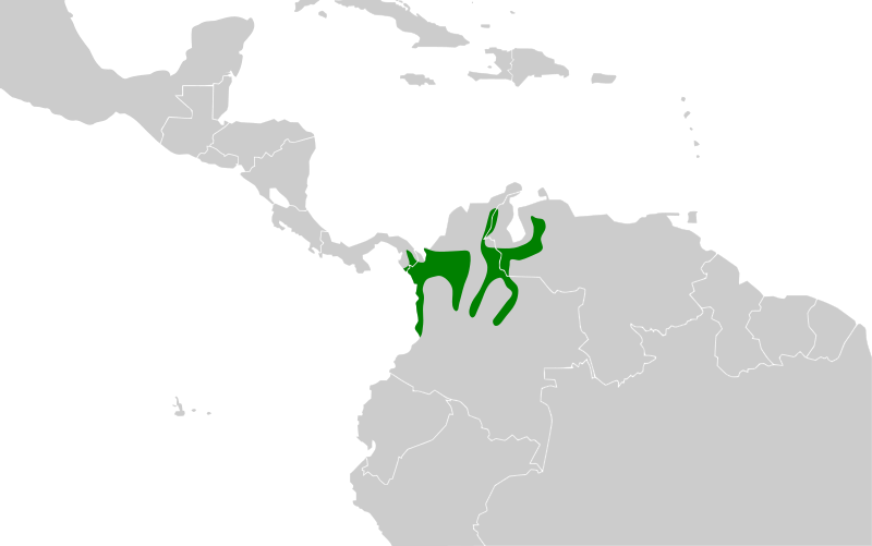 File:Pyrilia pyrilia map.svg