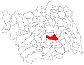 Location in Bacău County