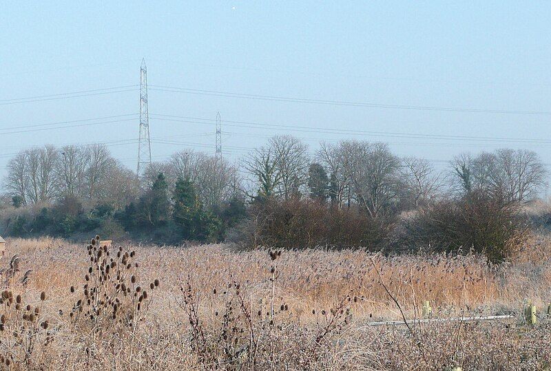 File:Rainham Marshes 30dec08.jpg