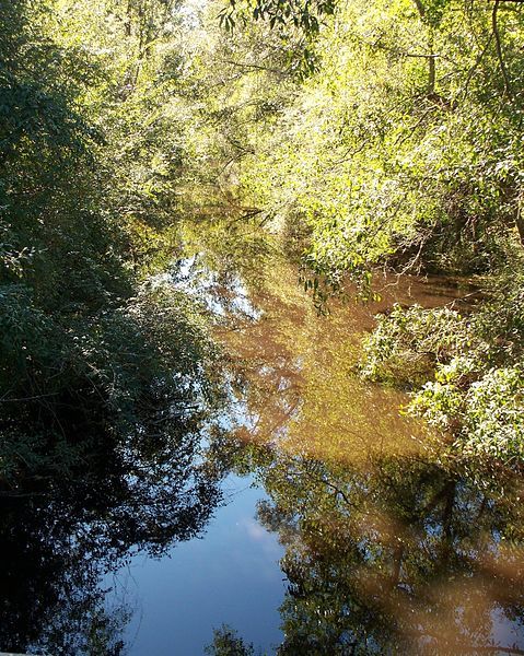 File:Sims Creek south.jpg