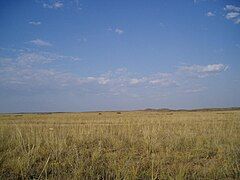 The steppes in Akmola Province, Kazakhstan.