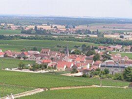 A general view of Vosne-Romanée