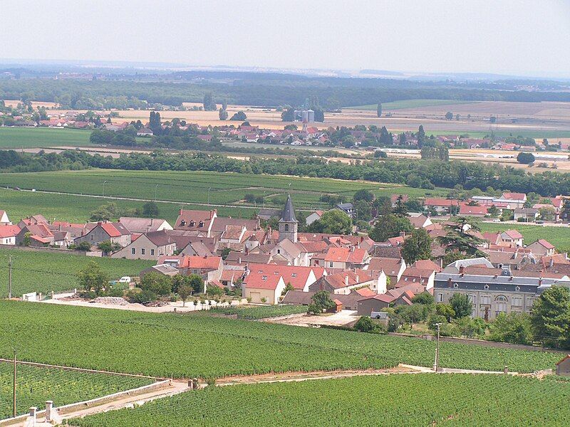 File:Vosne-Romanee.jpg