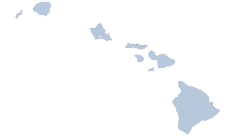 File:2024-hawaii-amendment-1.svg