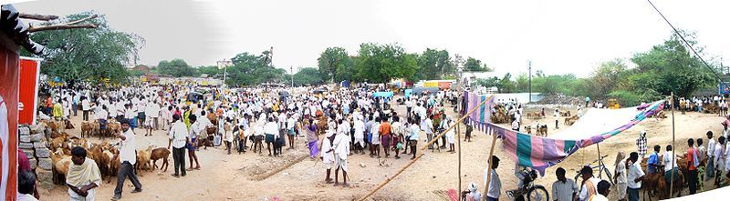 File:APvillage Kattanguru CattleFair.JPG