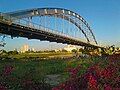 The Ahwaz White Bridge, built in the 1930s.