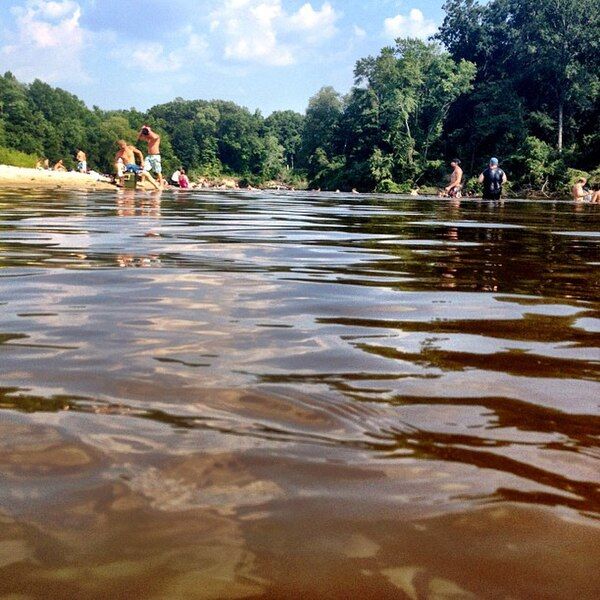 File:Coal Bluff Sandbar.jpg