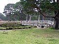 Derry Burn footbridge