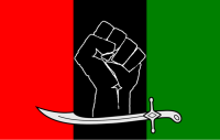 a red, black, and green tricolour with a power first in the middle stripe.