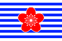 File:Flag of SSF.svg