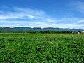 Huadong Valley, the Coastal Mountain Range can be seen in the distance